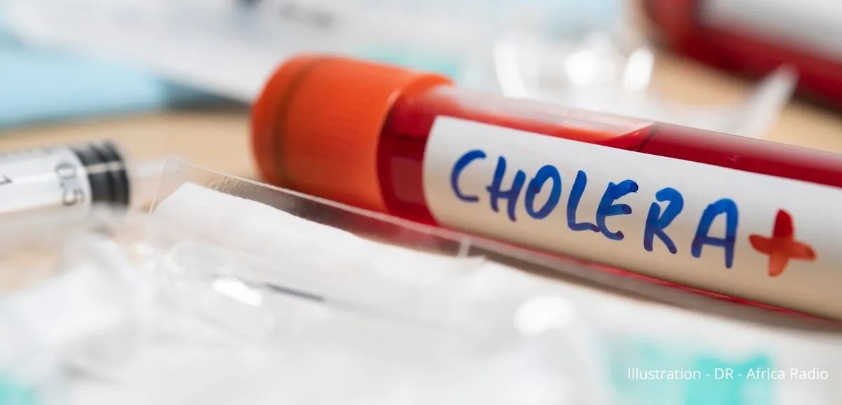 Cholera outbreak in Tchad claims 13 lives