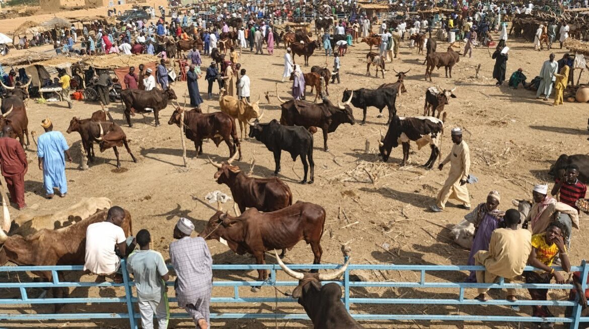 Mali’s livestock export freeze: how state intervention backfires and stifles private growth