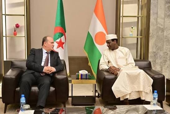 Algeria-Niger fiber optic cable: who controls the Sahel’s digital lifeline?