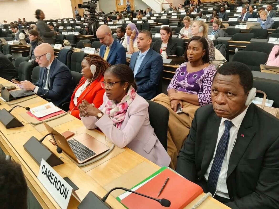 Can Cameroon carry the refugee burden alone as global funding shrinks?
