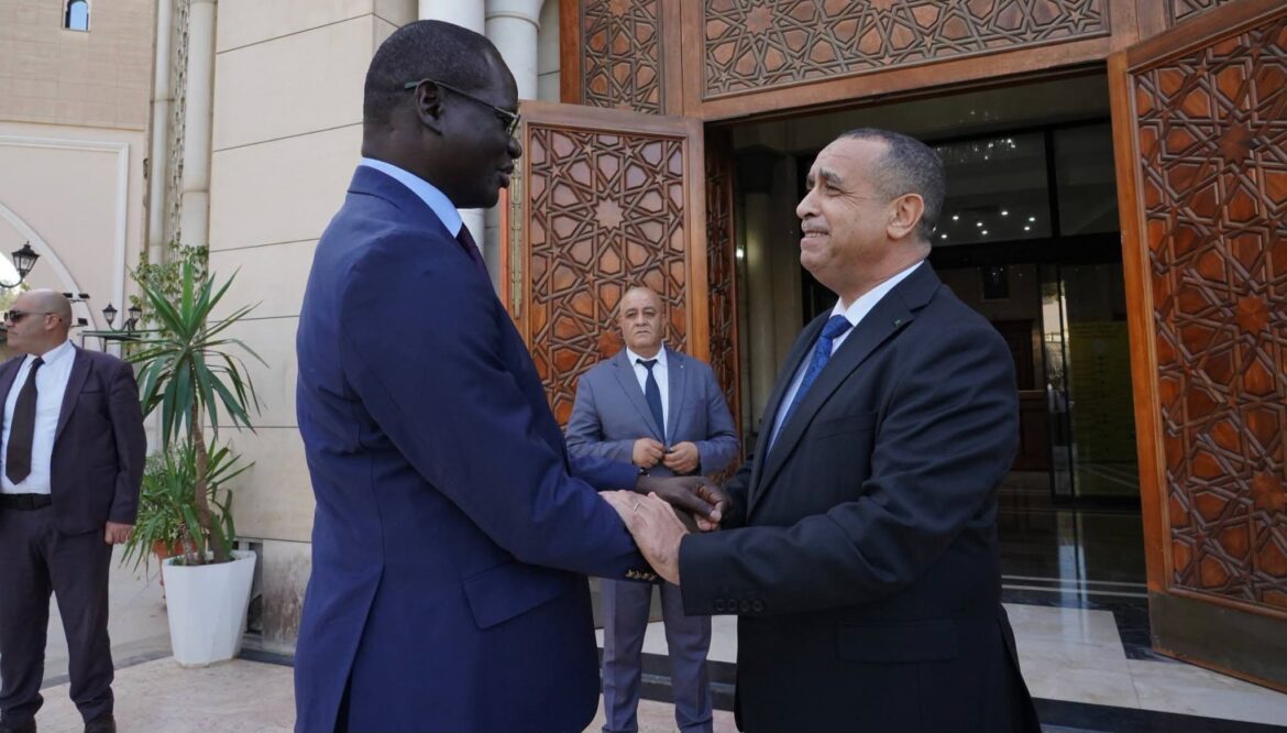 Algeria’s Sonelgaz targets Senegal’s energy sector: three key insights behind the push